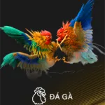 đá gà 888b - item game